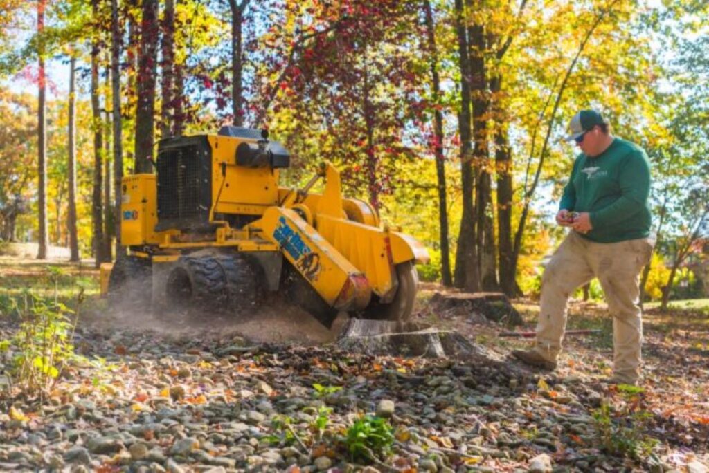 commercial stump grinding