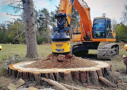 What Is Stump Grinding and Why Is It Important?