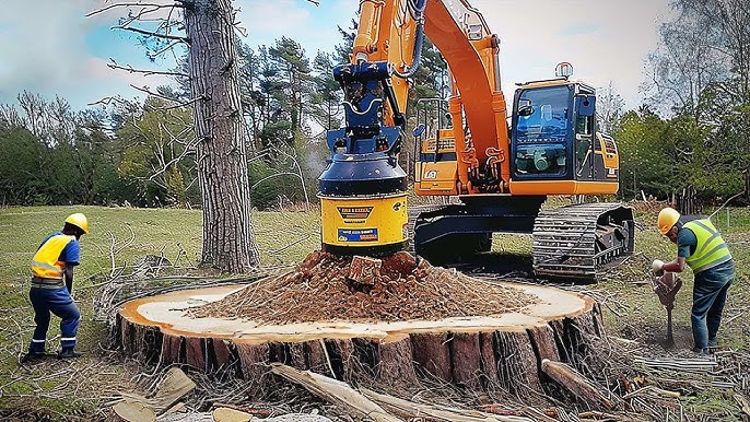 stump grinding sydney