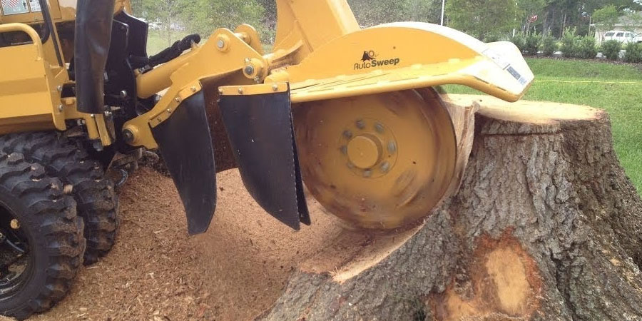 stump grinding sydney